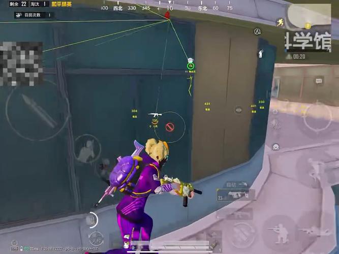 和平精英辅助软件的发展与影响分析